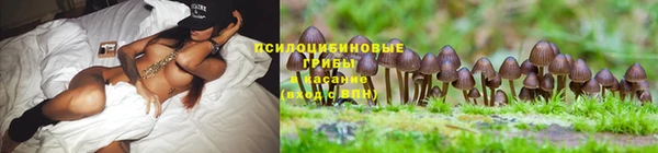 СК Покров