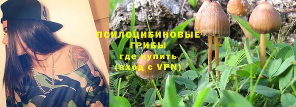 СК Покров