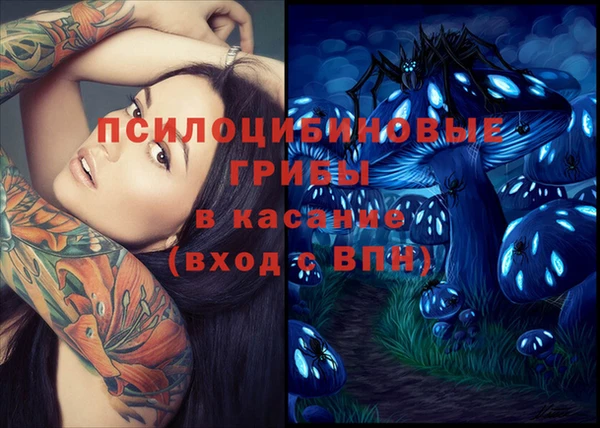 СК Покров